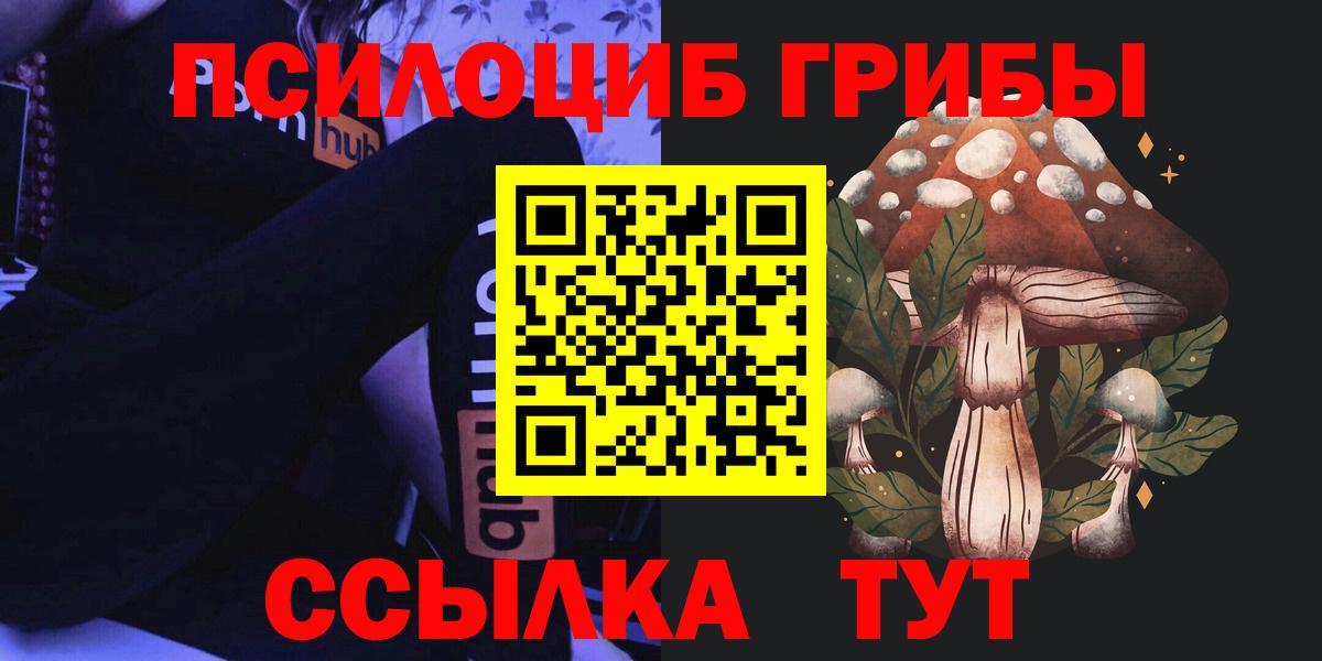 Аргун  Галлюциногенные грибы Cubensis  Вход с VPN  Псилоцибиновые грибы прущие грибы 